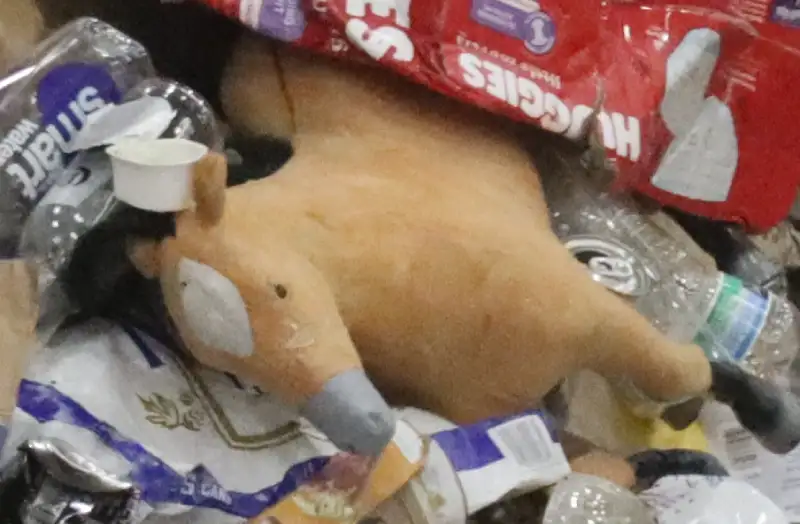 Unrecyclable Item Found In Recycling Material