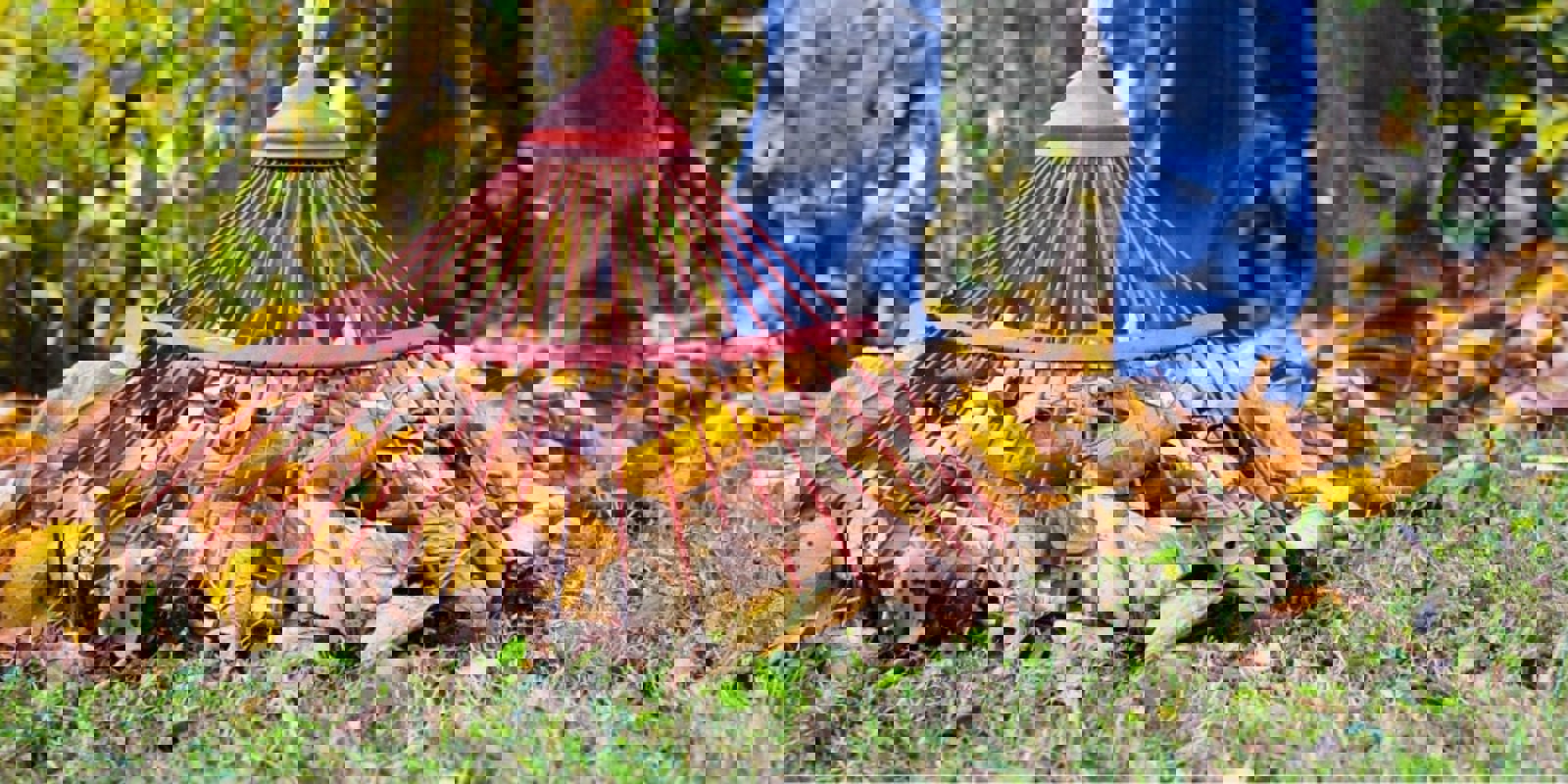 Trash Pickup Service & Garbage Removal Rumpke